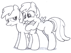 Size: 2700x2000 | Tagged: safe, artist:an-tonio, chirpy hooves, g4, filly, high res, monochrome, nibbling, rule 63, self ponidox, traditional art, wings