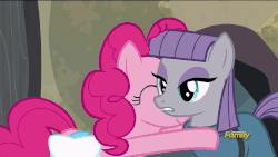 Size: 1920x1080 | Tagged: safe, screencap, maud pie, pinkie pie, earth pony, pony, g4, hearthbreakers, animated, female, loop, nuzzling