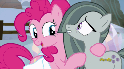 Size: 1920x1080 | Tagged: safe, screencap, marble pie, pinkie pie, earth pony, pony, g4, hearthbreakers, animated, female, loop, mare, personal space invasion, pie twins, sisters, twins