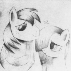 Size: 1024x1024 | Tagged: safe, artist:theasce, big macintosh, marble pie, earth pony, pony, g4, male, monochrome, ship:marblemac, shipping, stallion, straight, traditional art