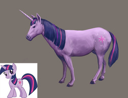 Size: 828x640 | Tagged: safe, artist:anthonyjamesrich, twilight sparkle, g4, female, hoers, realistic, solo