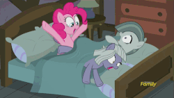 Size: 500x281 | Tagged: safe, screencap, limestone pie, marble pie, pinkie pie, earth pony, pony, g4, hearthbreakers, adorkable, animated, bed, blanket, context is for the weak, cute, discovery family logo, dork, female, frown, gif, limabetes, loop, marblebetes, on side, open mouth, out of context, pie sisters, pillow, screaming, siblings, sisters, smiling, talking, this is why we can't have nice things, trio, vibrating