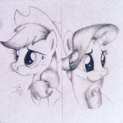 Size: 1024x1024 | Tagged: safe, artist:theasce, applejack, rarity, g4, eating, monochrome, traditional art