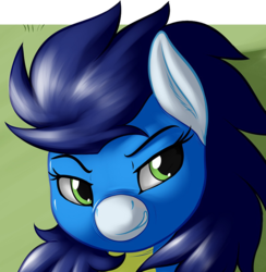 Size: 805x825 | Tagged: safe, artist:skipsy, soarin', pony, g4, bedroom eyes, glide, rule 63, smirk, solo, wonderbolts uniform