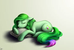 Size: 1300x882 | Tagged: safe, artist:l1nkoln, oc, oc only, oc:dawn, earth pony, pony, female, mare, pillow, prone, sleeping, solo