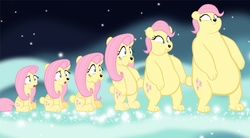 Size: 1280x704 | Tagged: safe, artist:megarainbowdash2000, fluttershy, bear, g4, animorphs, bearified, flutterbear, open mouth, solo, species swap, transformation, transformation sequence, vector, wide eyes