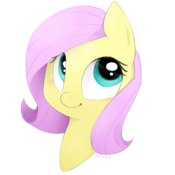 Size: 500x500 | Tagged: safe, artist:okaces, fluttershy, g4, cute, female, portrait, shyabetes, simple background, solo, transparent background