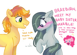 Size: 1023x731 | Tagged: safe, artist:dreamscapevalley, braeburn, marble pie, pinkie pie, earth pony, pony, g4, :d, blushing, braeble, crack shipping, dialogue, ear fluff, female, floppy ears, looking away, looking down, male, mare, open mouth, raised hoof, shipping, simple background, smiling, stallion, straight, sweat, white background