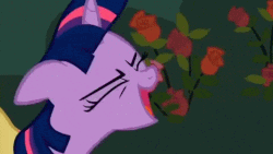 Size: 480x270 | Tagged: safe, edit, edited screencap, screencap, fancypants, twilight sparkle, g4, animated, dancing, do the sparkle, japanese, translated in the comments, youtube link