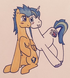 Size: 2185x2436 | Tagged: safe, artist:crystalalight, flash sentry, shining armor, g4, blushing, gay, high res, male, shiningsentry, shipping
