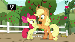 Size: 1920x1080 | Tagged: safe, screencap, apple bloom, applejack, brotherhooves social, g4, bipedal, clapping, discovery family logo, female, sibling love, siblings, sisterly love, sisters, standing