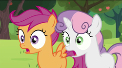 Size: 1920x1080 | Tagged: safe, screencap, scootaloo, sweetie belle, brotherhooves social, g4, open mouth, shocked