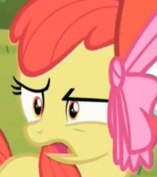 Size: 423x477 | Tagged: safe, screencap, apple bloom, brotherhooves social, g4