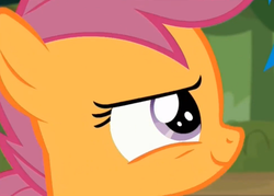 Size: 736x526 | Tagged: safe, screencap, scootaloo, pegasus, pony, brotherhooves social, g4, close-up, confident, smiling