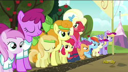 Size: 1920x1080 | Tagged: safe, screencap, alula, apple bloom, berry punch, berryshine, big macintosh, carrot top, cloud kicker, golden harvest, noi, piña colada, pluto, rainbow dash, scootaloo, earth pony, pony, brotherhooves social, g4, crossdressing, female, male, orchard blossom, piña cutelada, siblings, sisters, stallion