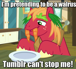 Size: 480x440 | Tagged: safe, edit, edited screencap, screencap, big macintosh, pony, walrus, brotherhooves social, g4, caption, carrot, first world anarchist, image macro, lettuce, male, meme, silly, silly pony, solo, stallion, text, tumblr
