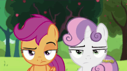 Size: 500x281 | Tagged: safe, screencap, apple bloom, scootaloo, sweetie belle, brotherhooves social, g4, animated, cutie mark crusaders, discovery family, discovery family logo, female, gif, subtitles, text