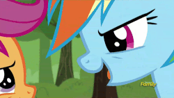 Size: 500x281 | Tagged: safe, screencap, rainbow dash, scootaloo, brotherhooves social, g4, animated, discovery family, discovery family logo, female