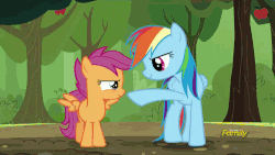 Size: 500x281 | Tagged: safe, screencap, rainbow dash, scootaloo, brotherhooves social, g4, animated, discovery family, discovery family logo, female, hoofbump, scootalove
