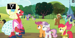 Size: 1076x551 | Tagged: safe, screencap, alula, apple bloom, big macintosh, bon bon, cherry cola, cherry fizzy, cloud kicker, lyra heartstrings, meadow song, pluto, scootaloo, sweetie belle, sweetie drops, earth pony, pony, brotherhooves social, g4, background pony, bloomers, clothes, crossdressing, cutie mark crusaders, discovery family logo, dress, makeup, male, orchard blossom, stallion, trap, when you see it, wig
