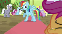 Size: 480x270 | Tagged: safe, screencap, alula, amethyst star, apple bloom, big macintosh, cherry berry, cloud kicker, cotton cloudy, daisy, dinky hooves, flower wishes, lily, lily valley, linky, lyra heartstrings, pluto, rainbow dash, rainbowshine, rosetta, royal riff, ruby pinch, scootaloo, sea swirl, seafoam, shoeshine, sparkler, earth pony, pony, brotherhooves social, g4, animated, crowd surfing, cute, cutealoo, discovery family logo, happy, male, scootalove, stallion