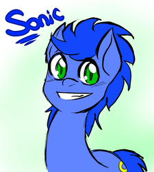 Size: 900x1000 | Tagged: safe, artist:pyupew, pony, male, ponified, solo, sonic the hedgehog, sonic the hedgehog (series)