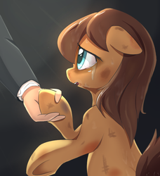 Size: 676x740 | Tagged: artist needed, safe, oc, oc only, oc:anon, oc:morning glory, human, /mlp/, bruised, crying, hand