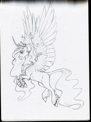 Size: 1024x1375 | Tagged: safe, artist:biakela, princess celestia, classical unicorn, g4, curved horn, female, flying, horn, leonine tail, monochrome, simple background, solo, traditional art, unshorn fetlocks