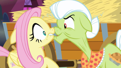 Size: 1920x1080 | Tagged: safe, screencap, fluttershy, granny smith, g4, scare master