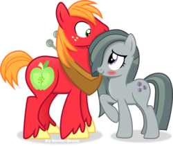 Size: 3992x3374 | Tagged: safe, artist:vector-brony, big macintosh, marble pie, earth pony, pony, g4, hearthbreakers, high res, male, ship:marblemac, shipping, simple background, stallion, straight, transparent background, vector