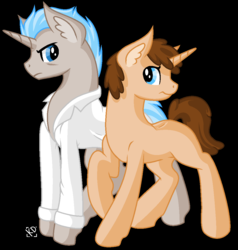 Size: 1000x1050 | Tagged: dead source, safe, artist:amazing-artsong, pony, unicorn, crossover, duo, duo male, hilarious in hindsight, male, morty smith, ponified, rick and morty, rick sanchez