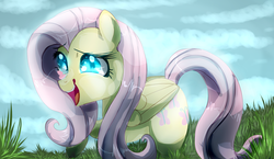 Size: 1024x595 | Tagged: safe, artist:scatteredlove, fluttershy, butterfly, g4, female, grass, solo