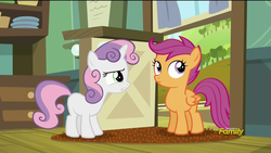 Size: 1920x1080 | Tagged: safe, screencap, scootaloo, sweetie belle, brotherhooves social, g4