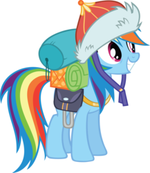 Size: 11154x12866 | Tagged: safe, artist:gen-ma, rainbow dash, g4, the lost treasure of griffonstone, .svg available, absurd resolution, bags, cute, dashabetes, equipment, female, hat, mongolian shepherd hat, offscreen character, simple background, smiling, solo, transparent background, vector