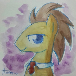 Size: 640x640 | Tagged: safe, artist:agnesgarbowska, doctor whooves, time turner, pony, g4, looking at you, male, necktie, stallion, traditional art, watercolor painting