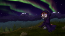 Size: 1920x1080 | Tagged: safe, artist:moemneop, oc, oc only, oc:lukida, bat pony, pony, aurora borealis, blanket, forest, looking up, mountain, night, open mouth, sky, solo, stars