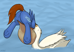 Size: 1513x1060 | Tagged: safe, alternate version, artist:variant, oc, oc only, oc:seaward skies, pegasus, pelican, pony, butt, derail in the comments, featureless crotch, fetish, plot, sfw edit, underhoof, vore