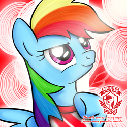 Size: 1500x1500 | Tagged: safe, artist:jcosneverexisted, rainbow dash, g4, community related, cropped, female, peru, solo