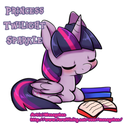 Size: 500x500 | Tagged: safe, artist:moneychan, twilight sparkle, alicorn, pony, g4, book, eyes closed, female, mare, prone, simple background, solo, transparent background, twilight sparkle (alicorn)
