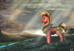 Size: 3359x2318 | Tagged: safe, artist:vinicius040598, big macintosh, earth pony, pony, g4, cloud, cloudy, crepuscular rays, high res, male, scenery, solo, stallion, straw