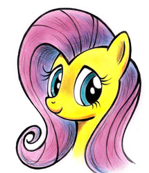 Size: 2038x2374 | Tagged: safe, artist:zdrer456, fluttershy, g4, female, high res, portrait, solo
