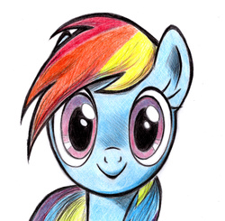 Size: 1982x1940 | Tagged: safe, artist:zdrer456, rainbow dash, g4, female, looking at you, portrait, solo