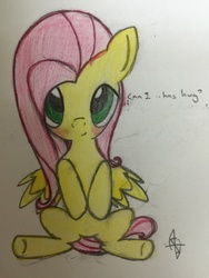 Size: 2448x3262 | Tagged: safe, artist:thewanderingtyto, fluttershy, g4, cute, female, high res, hug, hug request, solo, traditional art