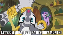 Size: 960x540 | Tagged: safe, twilight sparkle, zecora, parasprite, zebra, g4, black history month, zebra history month, zecora's hut