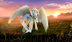Size: 1300x760 | Tagged: safe, artist:skyeypony, oc, oc only, oc:morning dew, looking back, solo, spread wings, sunset