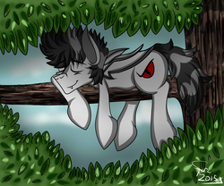 Size: 3000x2500 | Tagged: safe, artist:sparc, oc, oc only, oc:thunder wave, vampony, high res, sleeping, tree