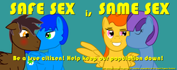 Size: 1000x400 | Tagged: safe, artist:salted pingas, oc, oc only, pegasus, pony, fallout equestria, blushing, enclave, female, gay, grand pegasus enclave, kissing, lesbian, male, nuzzling, propaganda, simple background, smiling, text, vector, wingboner