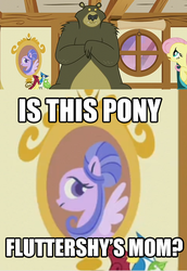 Size: 388x564 | Tagged: safe, edit, edited screencap, screencap, fluttershy, harry, bear, pegasus, pony, g4, scare master, bust, female, image macro, jossed, mare, portrait, profile, speculation