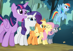 Size: 1524x1065 | Tagged: safe, screencap, applejack, fluttershy, maud pie, rainbow dash, rarity, twilight sparkle, alicorn, pony, g4, maud pie (episode), female, mare, twilight sparkle (alicorn)