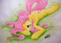 Size: 3631x2569 | Tagged: safe, artist:dantethehuman, fluttershy, pegasus, pony, g4, female, folded wings, grass, hair over one eye, high res, looking away, lying down, melancholy, prone, questionable source, solo, traditional art, wings